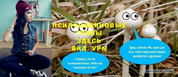 сатива Инсар